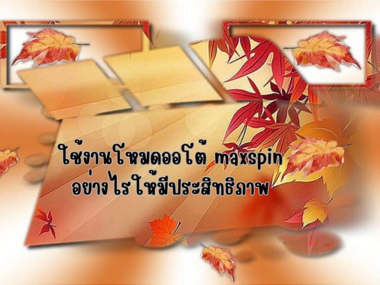 ใช้งานโหมดออโต้ maxspin